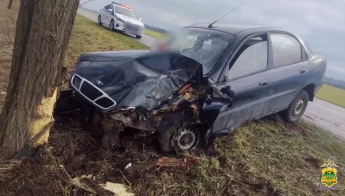 В Новокубанском районе иномарка врезалась в дерево, погиб пассажир 