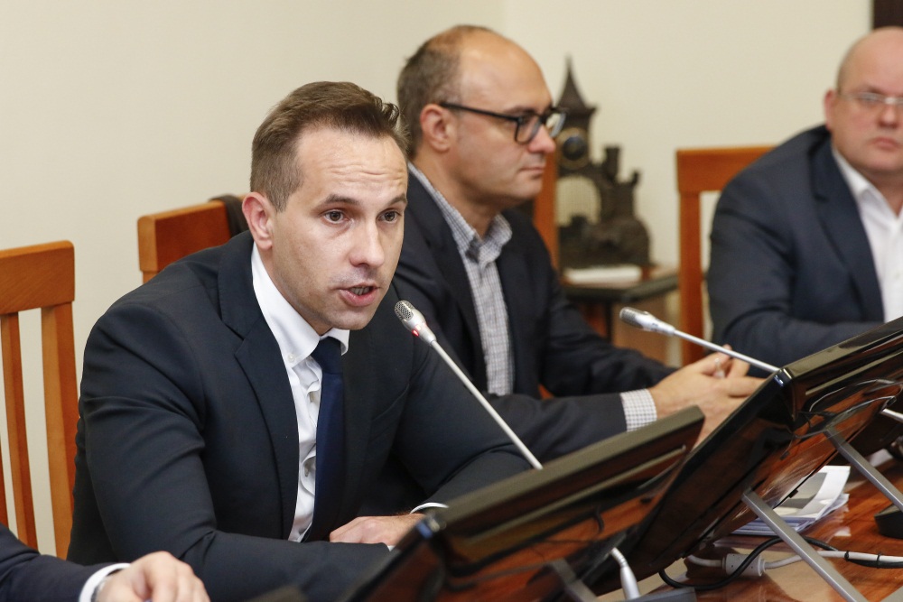 Австрийская компания Doppelmayr положительно оценила проект канатки в Краснодаре