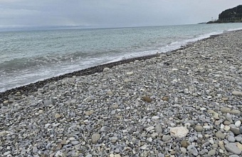 Загрязнений моря в Сочи не обнаружили