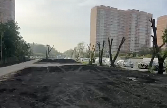 В Краснодаре обустроят новую зону отдыха