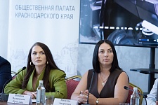 В Краснодаре депутаты, эксперты, общественники и предприниматели обсудили экономическое будущее региона