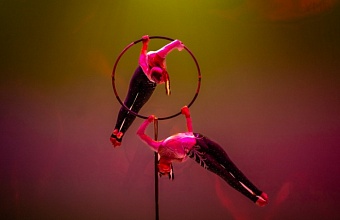 В ВДЦ «Орленок» завершился первый этап проекта «Дорога в цирк»