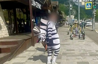 В Сочи задержали аниматоров в костюмах животных, навязывавших платные фото