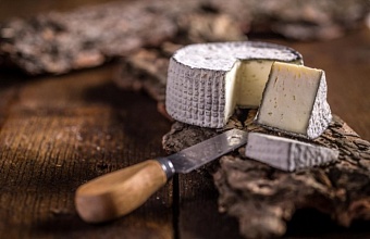 В Сочи экофермеры произвели свыше 21 тонны сыра с начала года