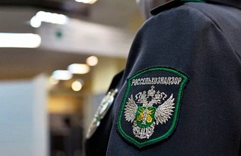 В Отрадненском районе задержано 3 т молока без ветеринарных документов