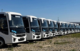 New Buses to Hit Krasnodar’s Roads
