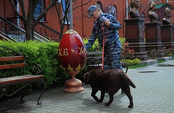 В Краснодаре кинологи обследуют территории храмов перед Пасхой