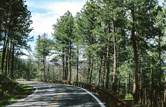 В Краснодарском крае вводят запрет на въезд транспортных средств на территорию лесов 