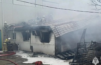 Под Новороссийском из пожара в конюшне спасли человека и более 20 лошадей 