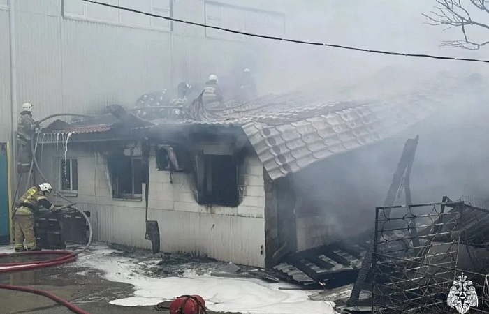 Под Новороссийском из пожара в конюшне спасли человека и более 20 лошадей 