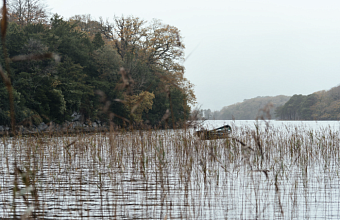 На Кубани уровень рек находится в норме