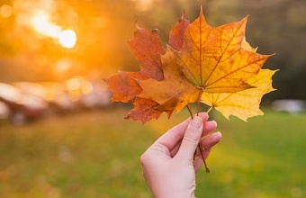 Теплая погода и +22° ожидается сегодня на Кубани