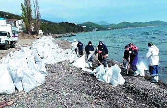 Во сколько может обойтись экологическое бедствие из-за атак на НПЗ в Туапсе