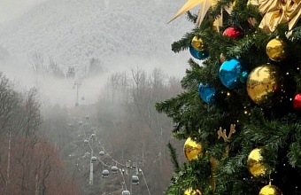 Новогодние мероприятия стартовали в Сочи