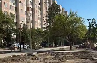 Глава Краснодара оценил ход благоустройства зеленой зоны по ул. Платановый Бульвар