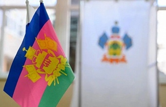 На Кубани Центр общественного наблюдения в дни выборов работает круглосуточно