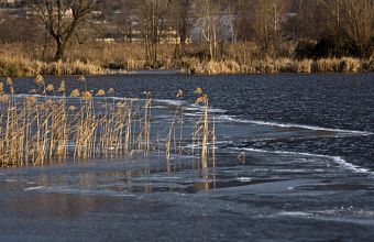 В четырех муниципалитетах Кубани зафиксировали подъем уровня рек