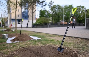 В Краснодаре обсудили готовность к весеннему озеленению улиц