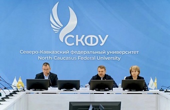 Южные регионы – лидеры в РФ по числу урегулированных долгов с начала 2026 года