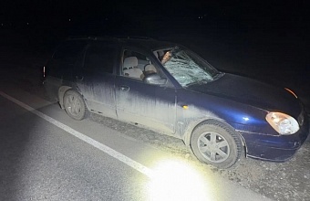 В Мостовском районе водитель иномарки насмерть сбил мужчину
