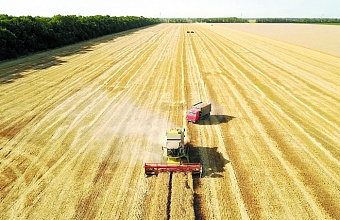 Kuban Completes Grain Harvest 
