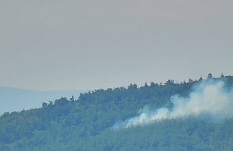 Лесной пожар произошел в Геленджике в районе Голубой Бухты