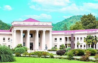 Sochi Takes  Main Tourist  Flow