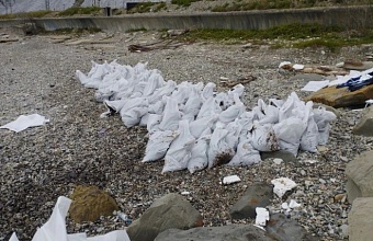 Три участка береговой полосы убрали в Туапсинском округе