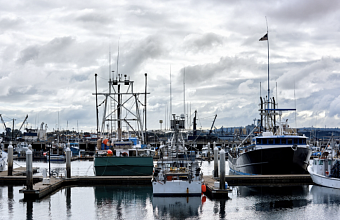 Учения со стрельбами пройдут в морпорту Сочи