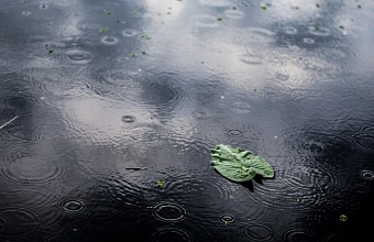 Ливни с грозами, градом и сильным ветром ожидаются на Кубани