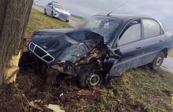 В Новокубанском районе иномарка врезалась в дерево, погиб пассажир 