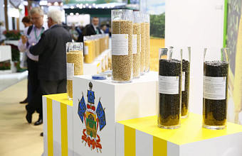 Science to Boost  the Economy