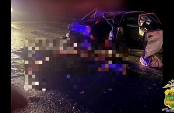 В Тихорецком районе в ДТП с большегрузом погибли двое подростков