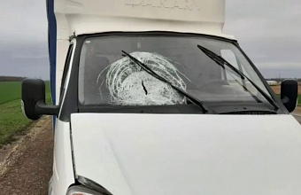 В Брюховецком районе грузовая «Газель» насмерть сбила мужчину 