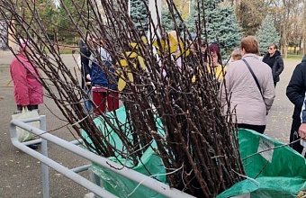 Активные жители Краснодара вышли на субботники по наведению порядка после зимы 