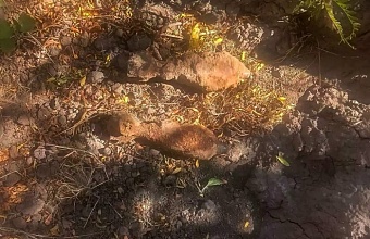 Под Анапой уничтожили две мины времен Великой Отечественной войны