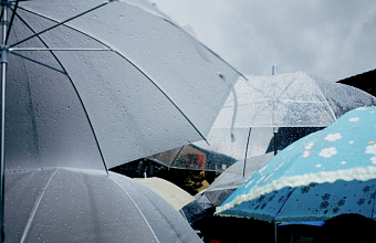 В Краснодарском крае ожидаются дождь, грозы и порывы ветра до 20 м/с