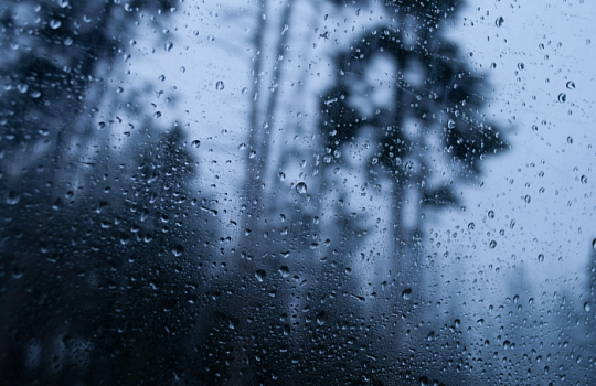 На Кубани ожидаются сильные дожди и штормовой ветер