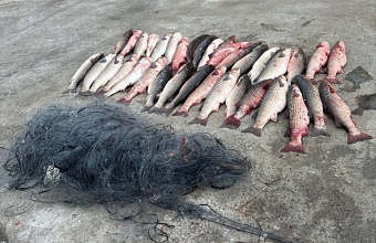 На Кубани задержали двух браконьеров