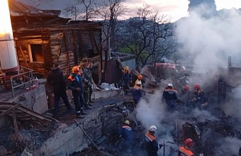 В Туапсе спасатели извлекли живую кошку из‑под завалов после атаки БПЛА