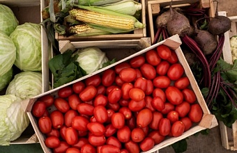 В Краснодаре завтра откроются восемь ярмарок выходного дня